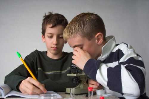 students looking through microscope and recording data